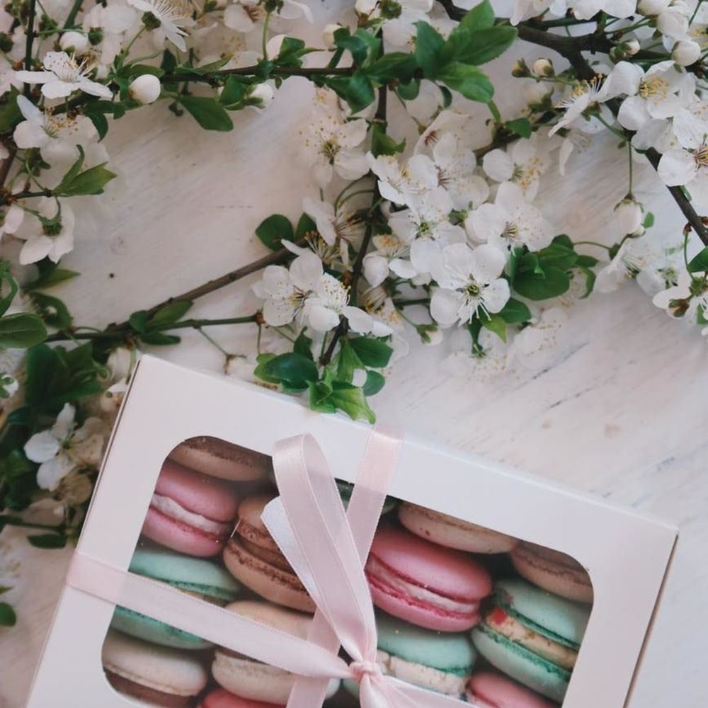 Meet your Posher, Lynne